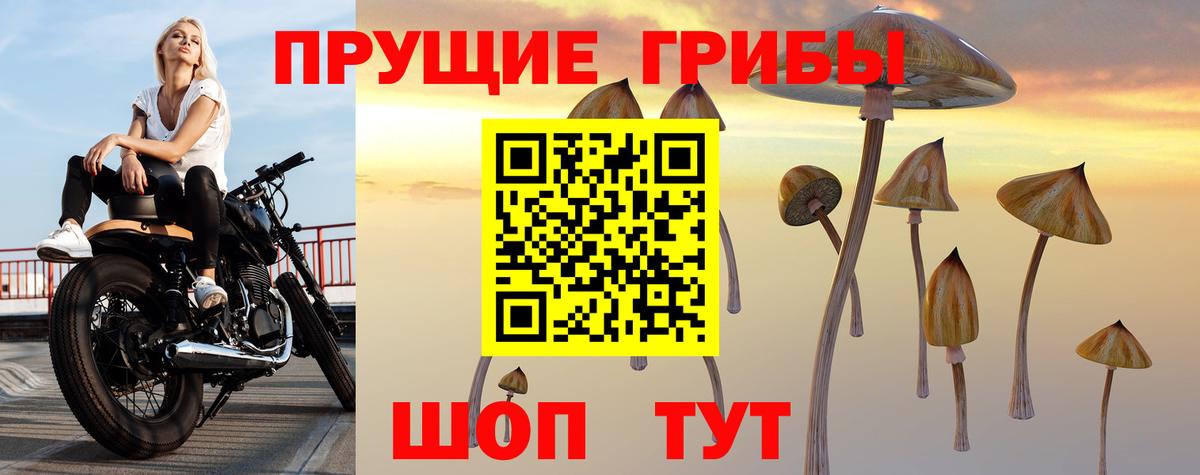 Галлюциногенные грибы прущие грибы Волжск